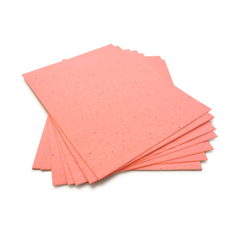 Fuzzy Peach Seed Paper