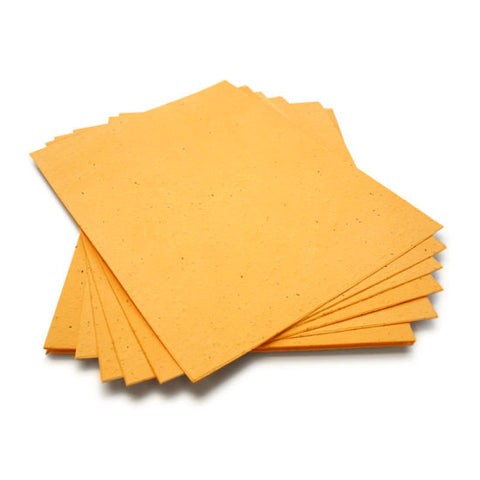 School Bus Yellow Seed Paper