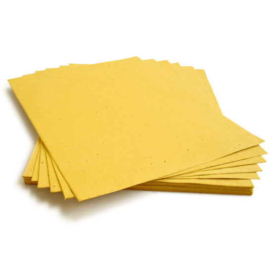 Sunflower Yellow Seed Paper