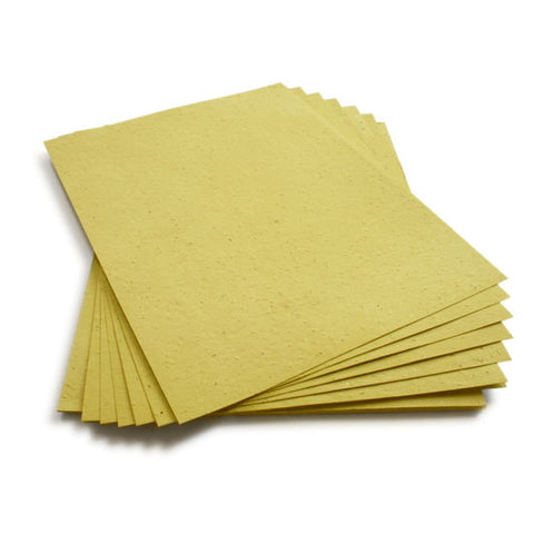 Farmer's Hay Seed Paper